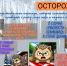 Информация МЧС. - Тимский район
